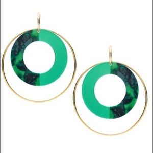 Fossil Earrings